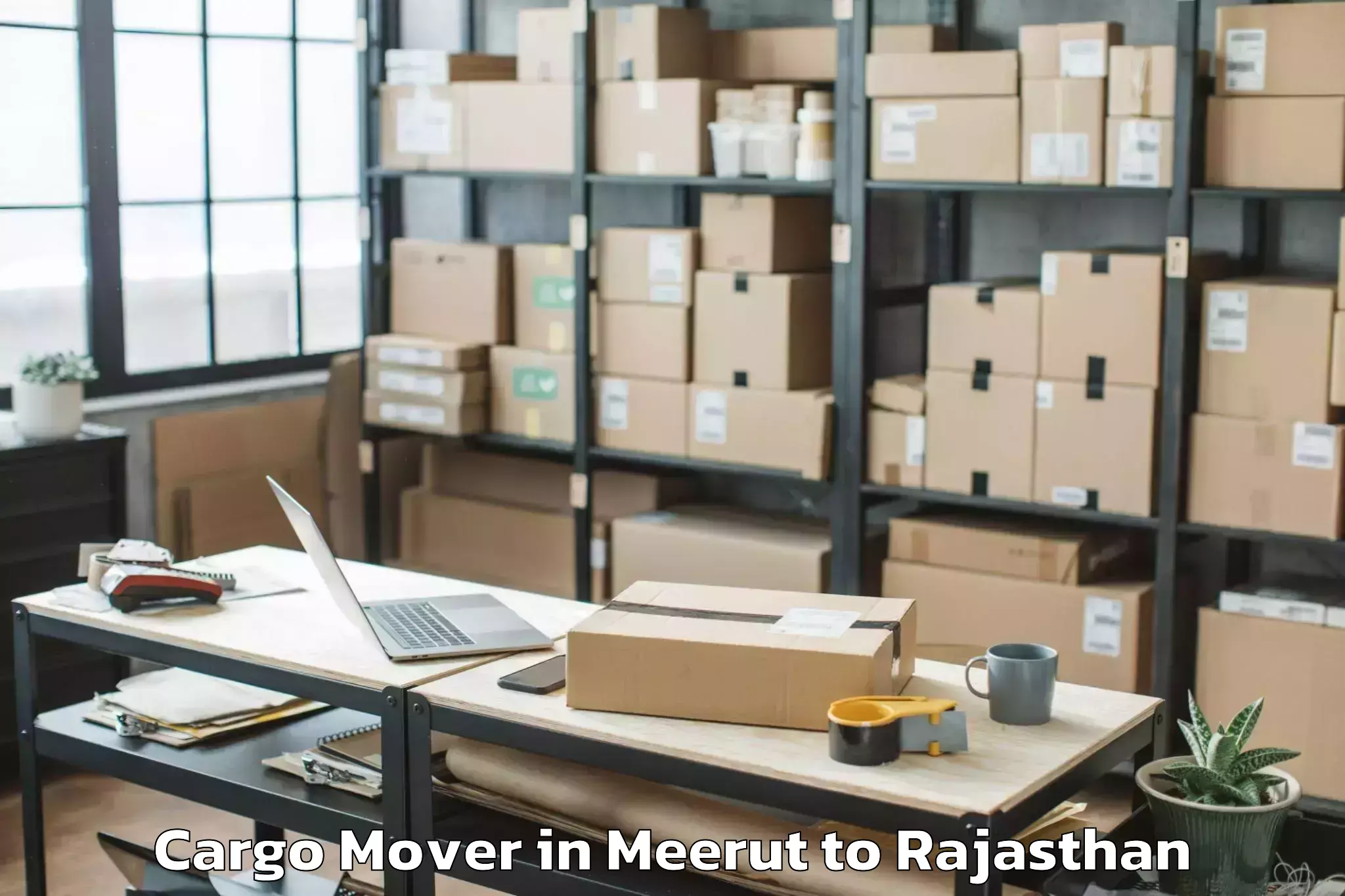 Easy Meerut to Neemrana Cargo Mover Booking